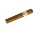 Bolivar - Royal Corona - UNIDADE